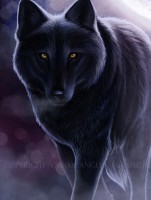 Dark Paw